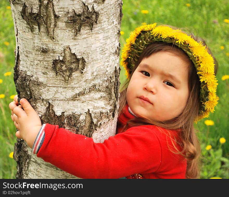 Little girl wearing a dandelion diadem and hugging a tree. Little girl wearing a dandelion diadem and hugging a tree