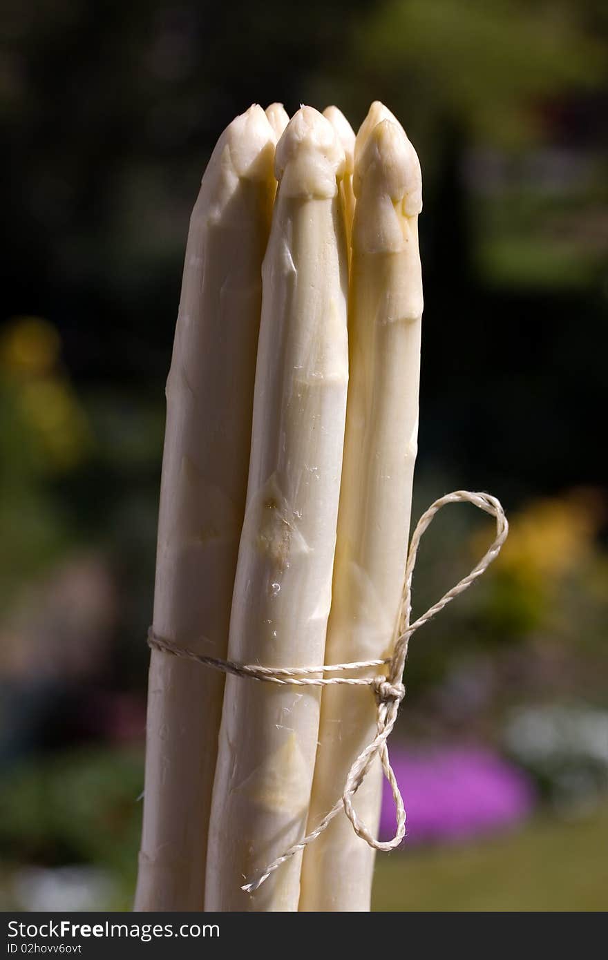 A Pile Of White Asparagus