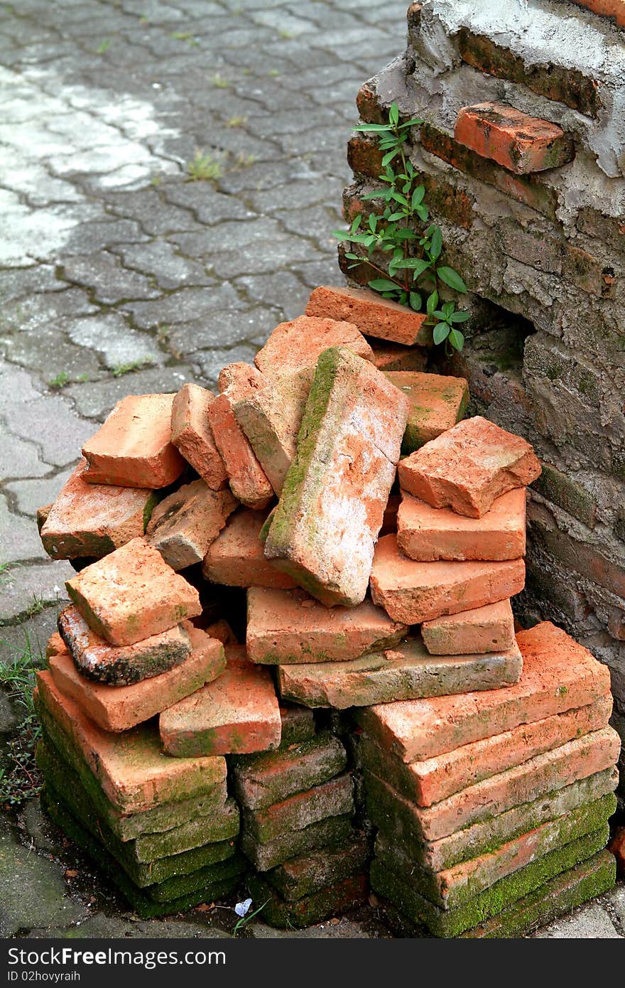 Pile Of Brick On Ruins