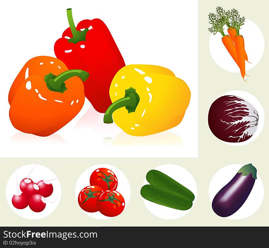 Vegetable set,  illustration, AI file included