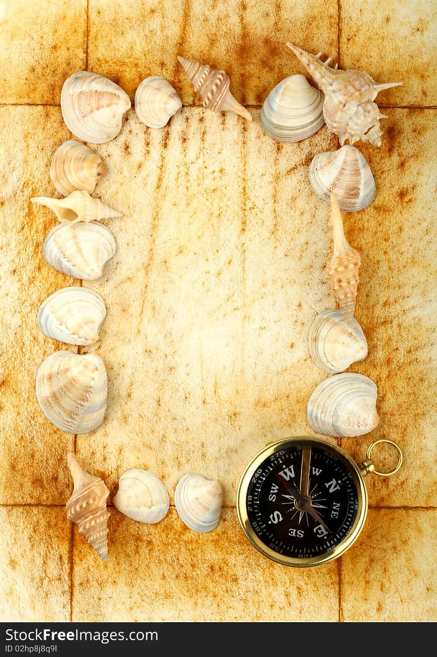 Compass on old textured paper with sea cockleshells