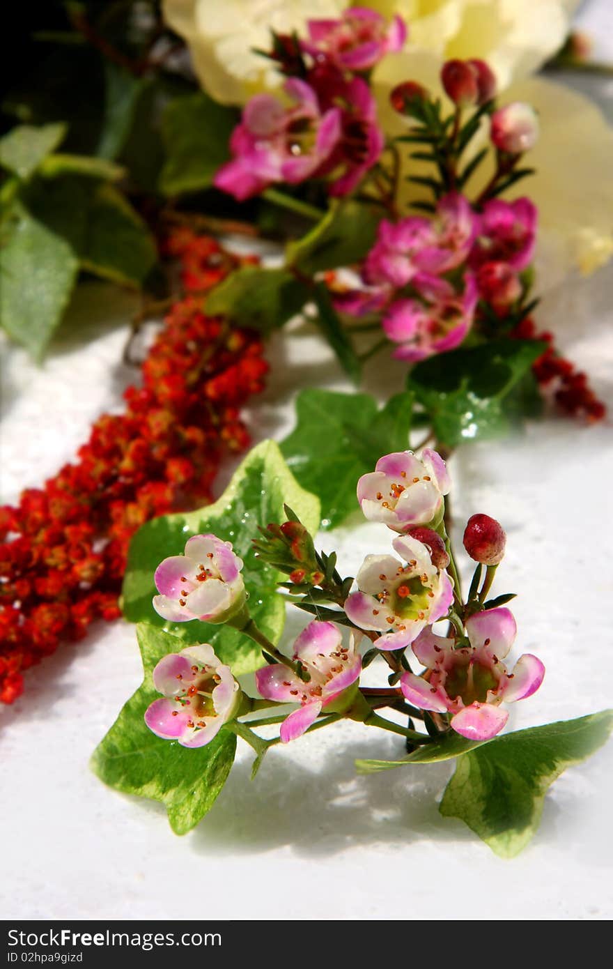 Beautiful bouquet