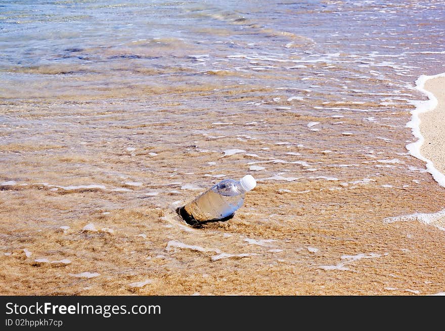 Bottle of water