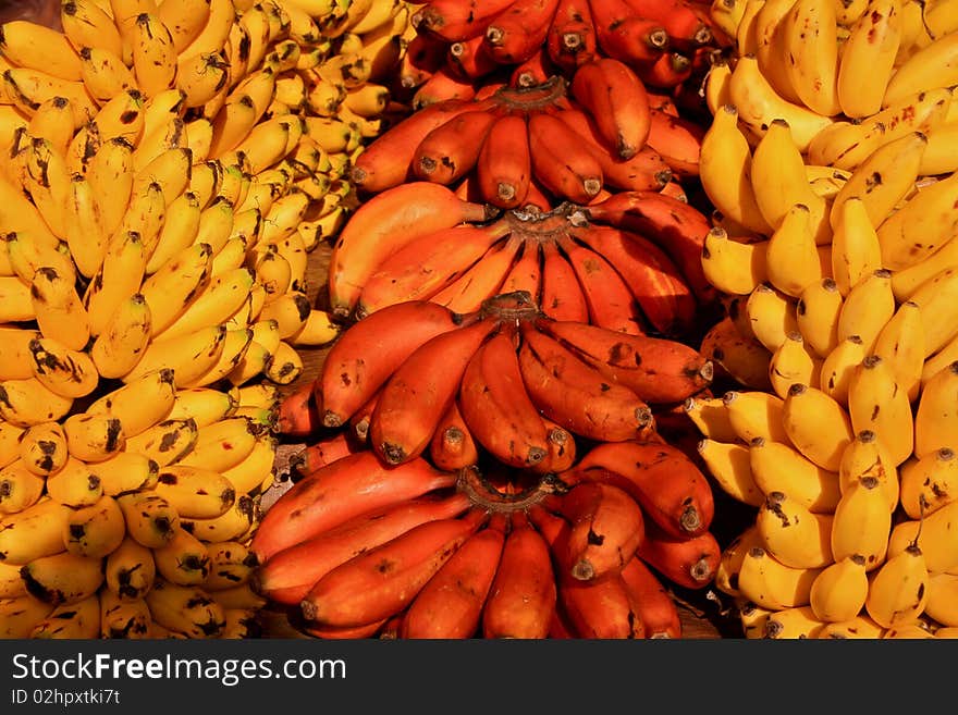 Red and yellow bananas