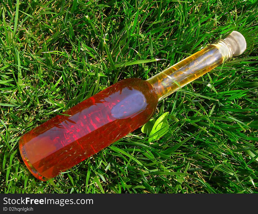 Bottle of house wine on the background of green grass. Bottle of house wine on the background of green grass