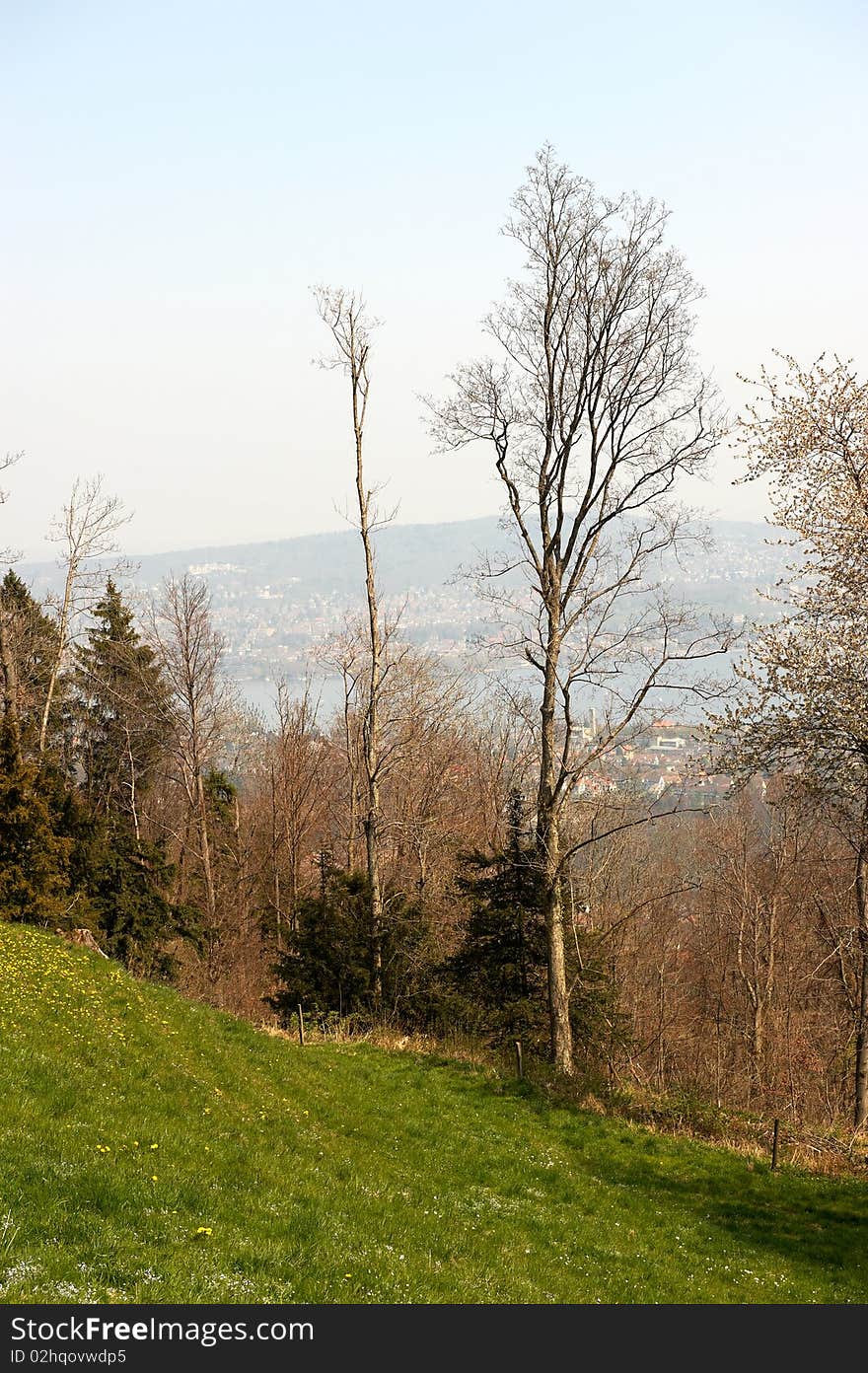 A rural hillside with trees in Switzerland. There is a valley viewable in the background. Vertical shot. A rural hillside with trees in Switzerland. There is a valley viewable in the background. Vertical shot.