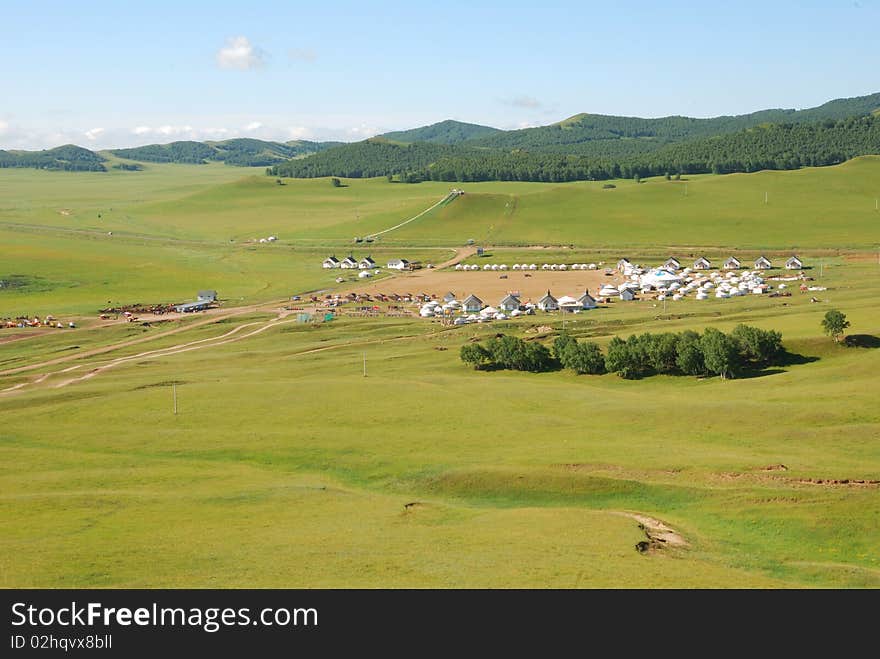 The photo was taken at inner mongolia in china. The photo was taken at inner mongolia in china