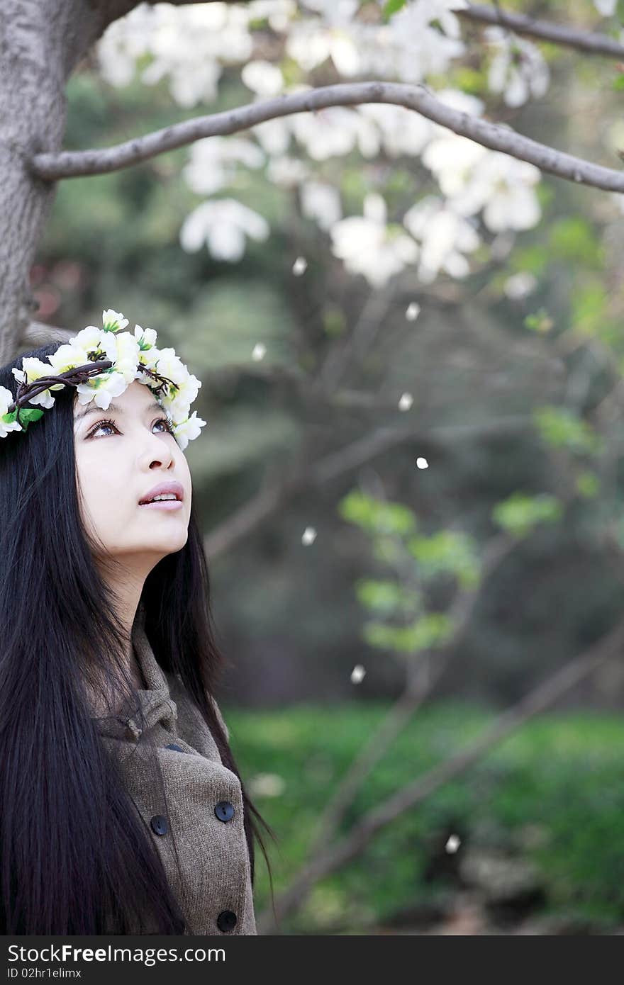 Beautiful Asian girl enjoying the cherry blossoms falling under tree. Beautiful Asian girl enjoying the cherry blossoms falling under tree.