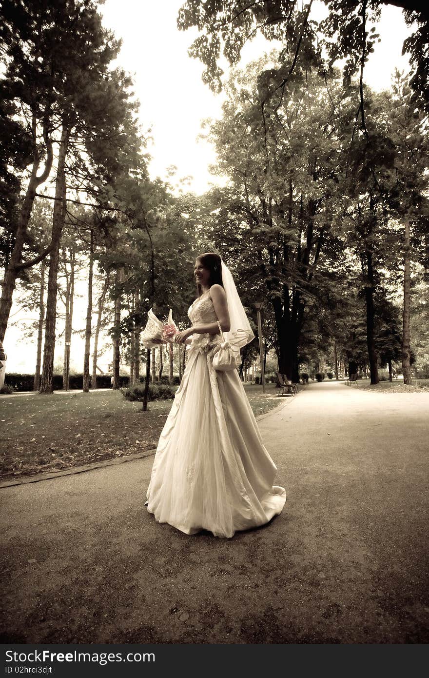 Bride In Park