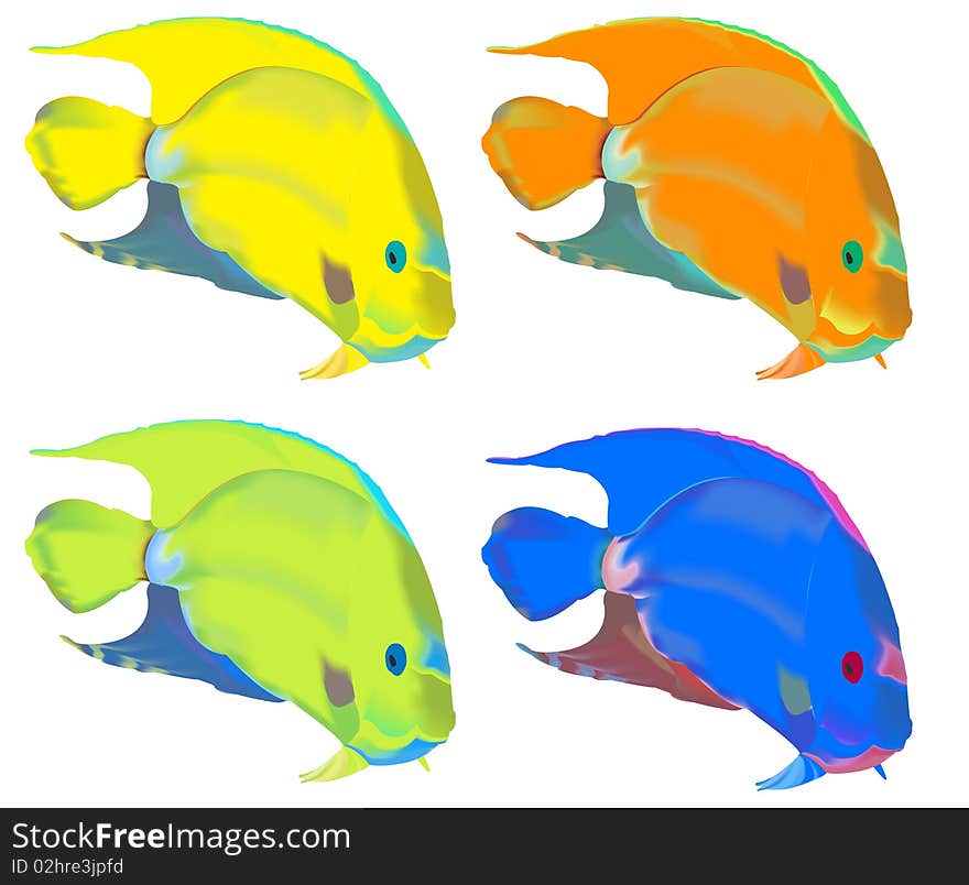 Colorful Fishes