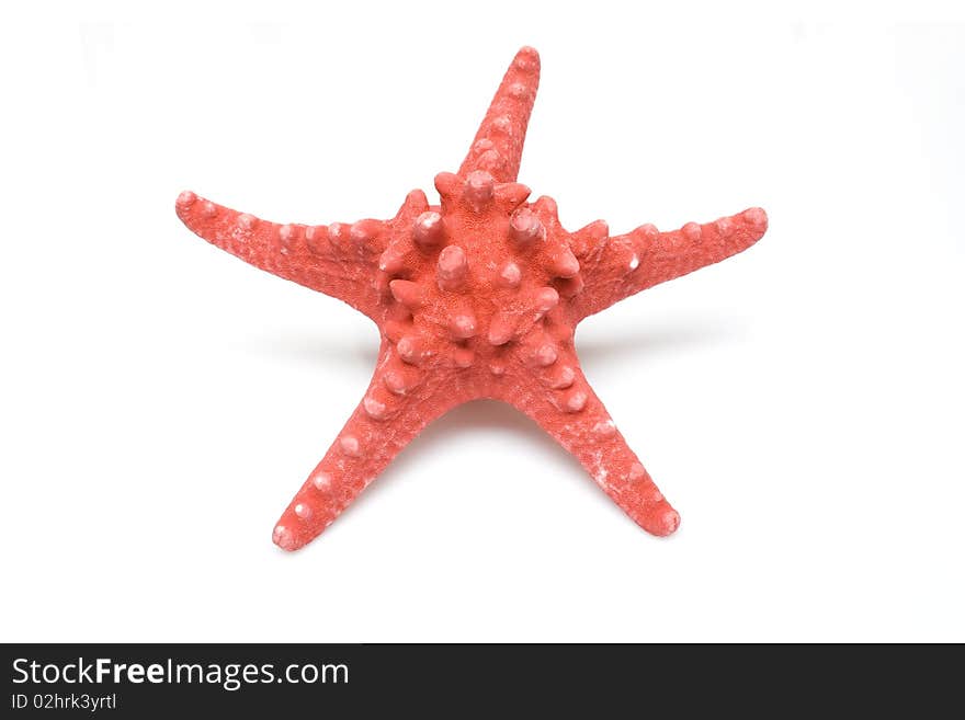 Red starfish. Isolated on a white background