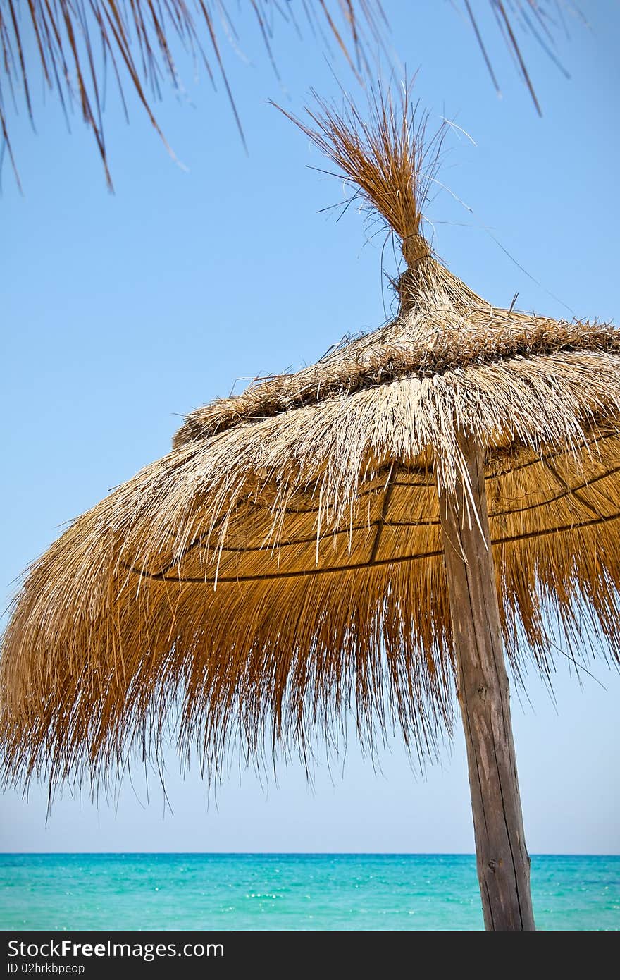 Sunshades on the beach