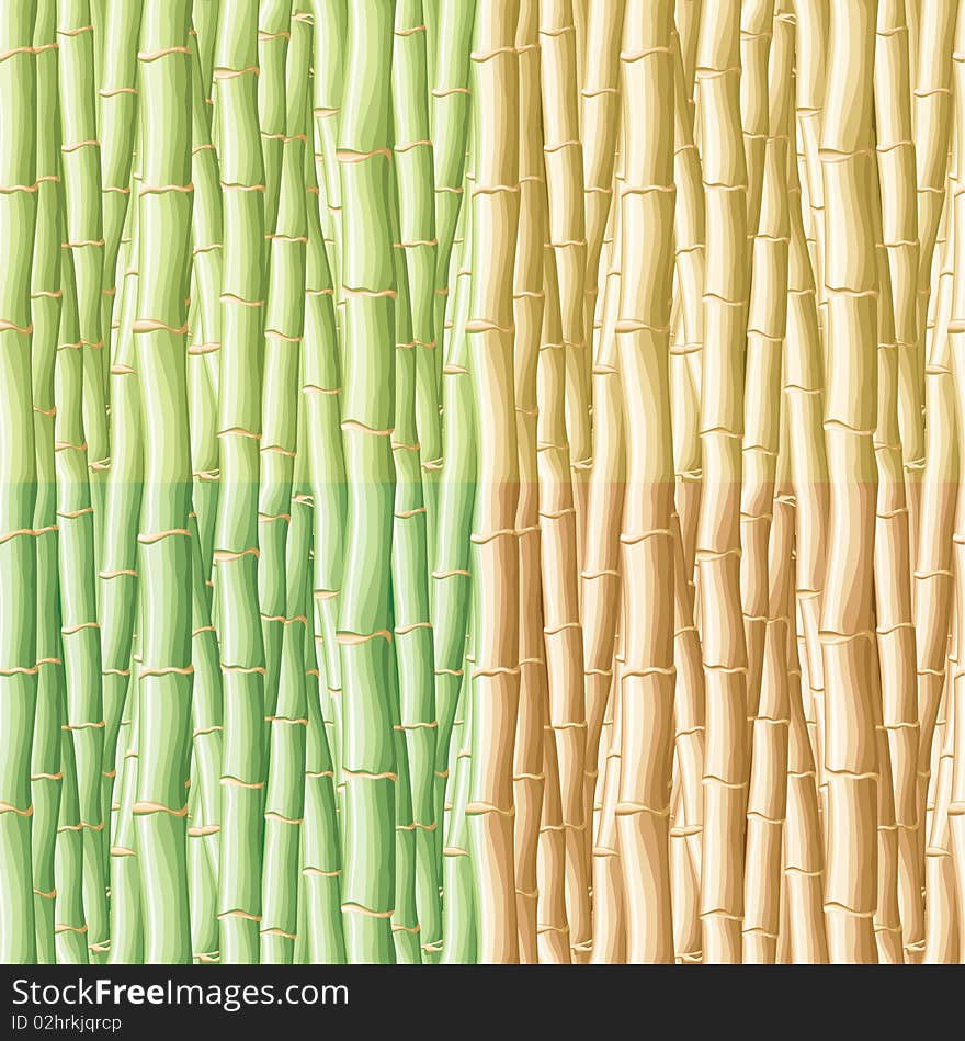 Bamboo Seamless Pattern