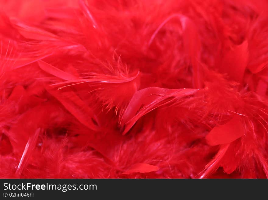 Red feathers