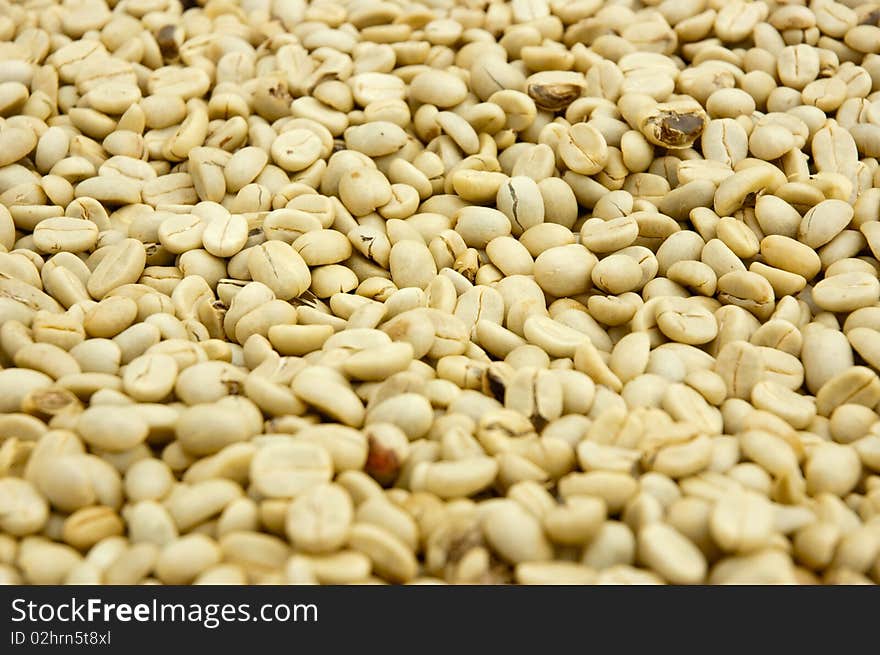 This image caontained coffee bean. Coffee bean drying. This image caontained coffee bean. Coffee bean drying