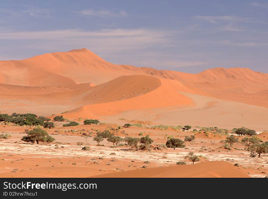 African Landscapes - Namibia