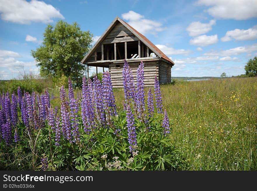 Destroyed wooden house in the field