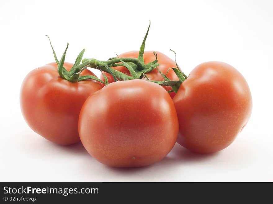 Red tomato on white background