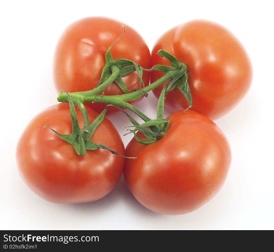 Red tomato on white background