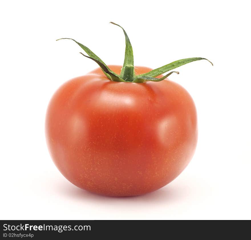 Red tomato on white background