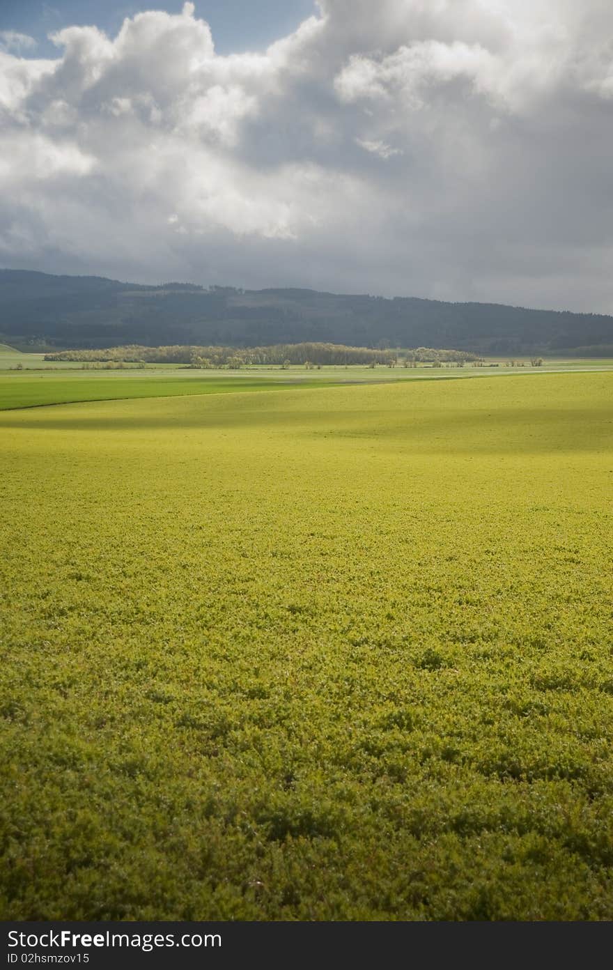 Spring farm fields