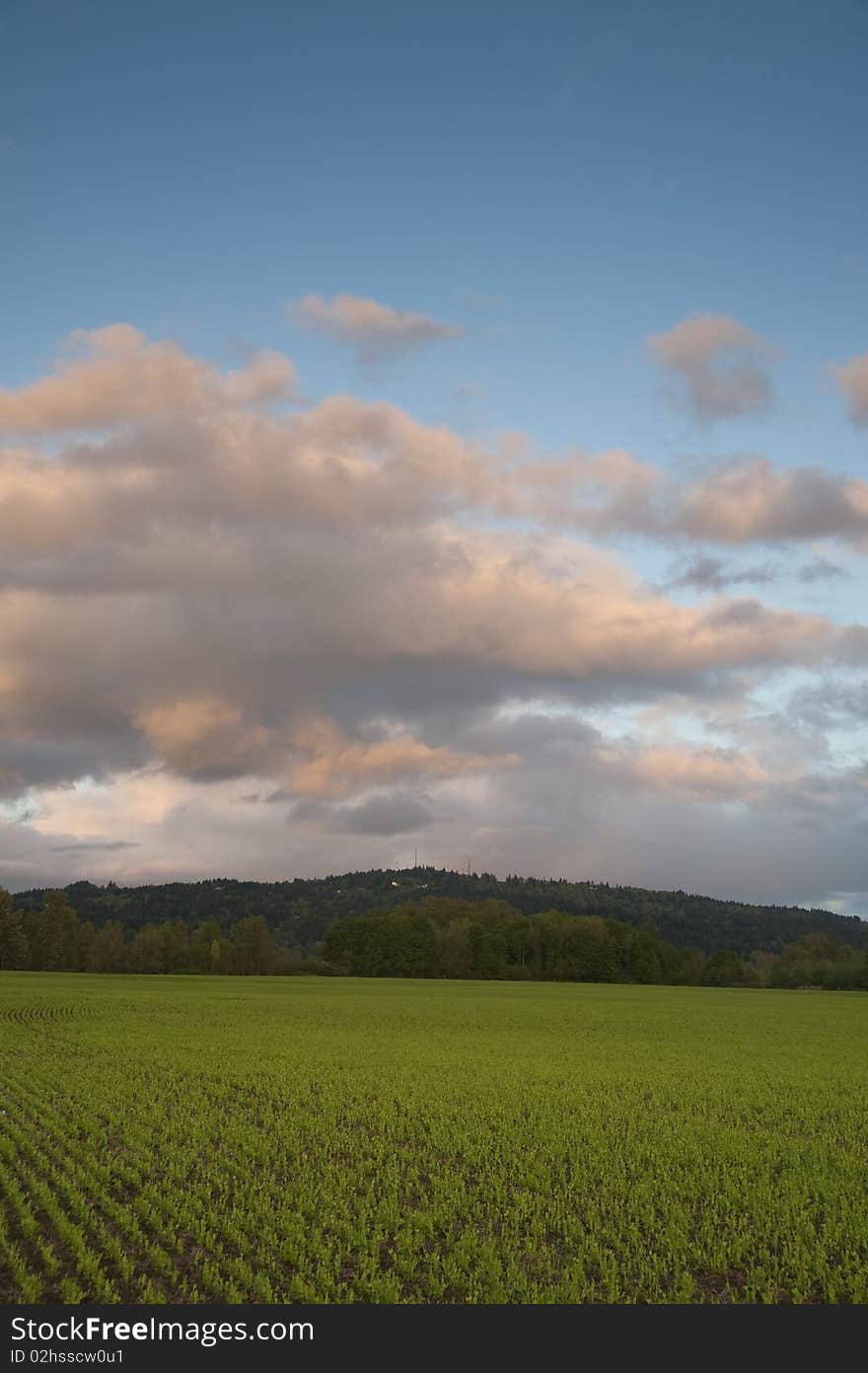 Spring farm fields