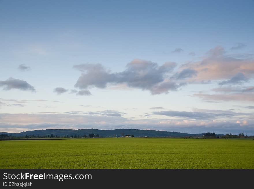 Spring farm fields