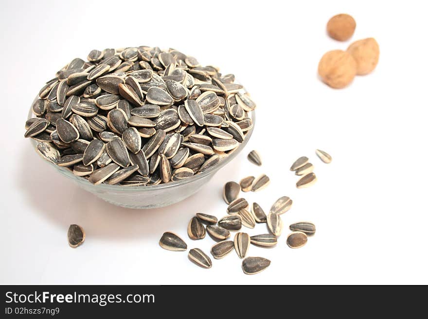 Sunflower Seeds