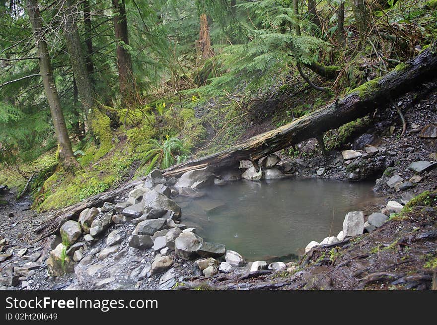 Olympic Hot springs in the National Park. Olympic Hot springs in the National Park