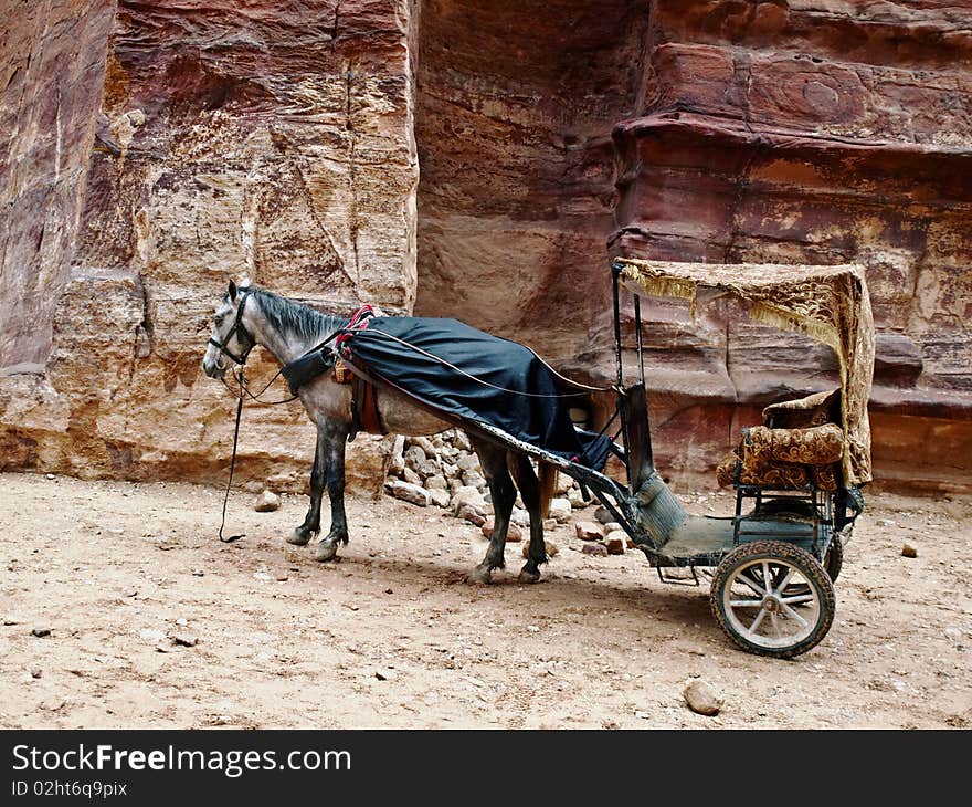 Petra In Jordan Pony And Carriage