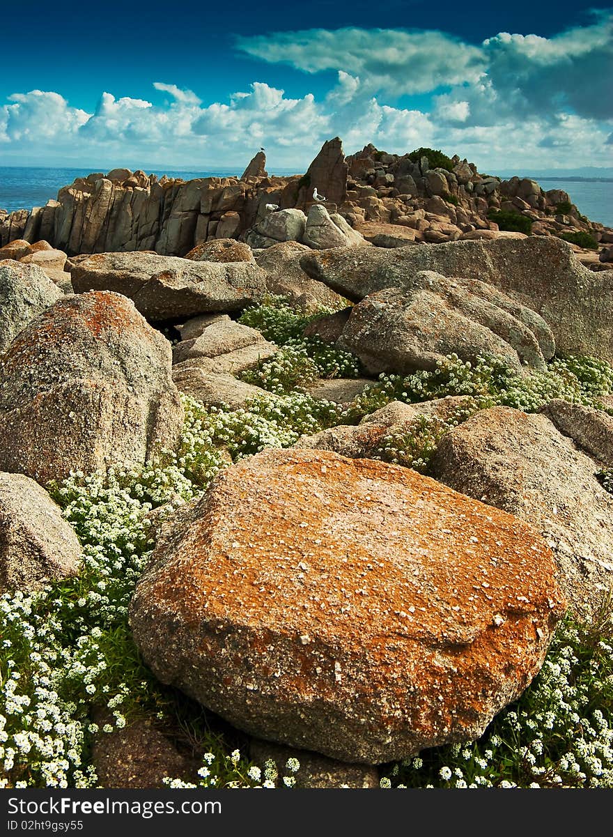 Gulls Waiting On A Rock Filled