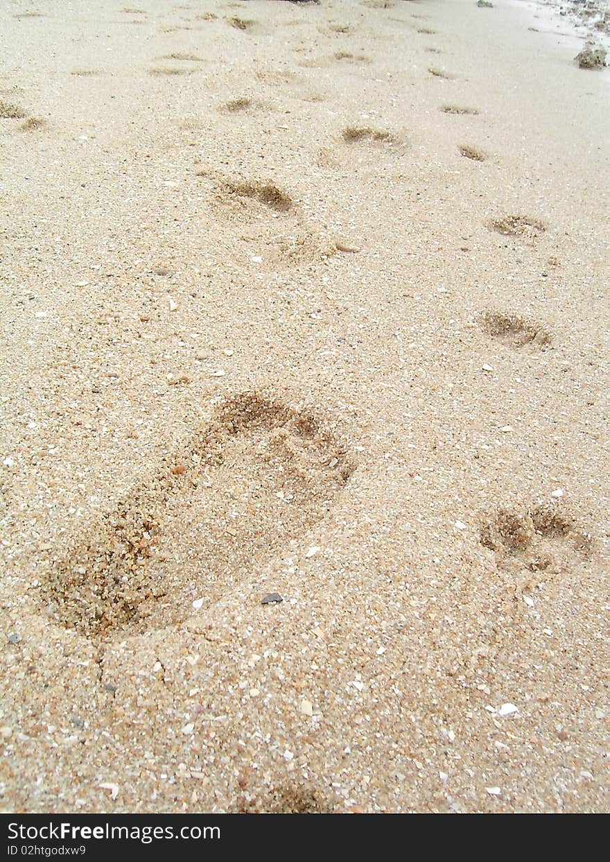 Footprint