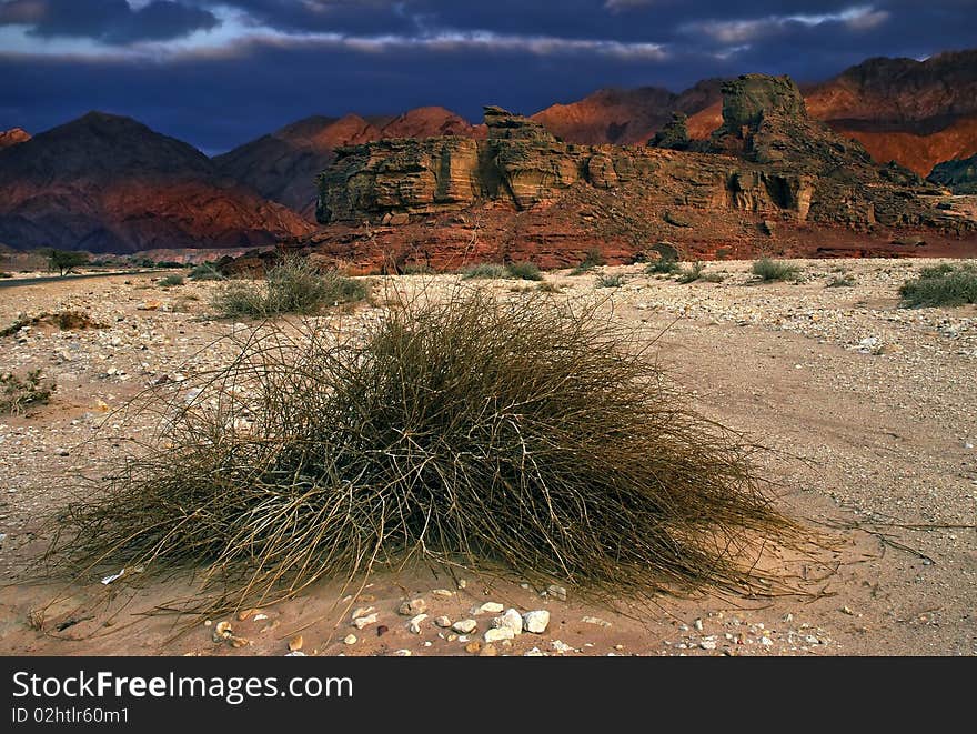 This shot was taken in winter time near Eilat city, Israel. This shot was taken in winter time near Eilat city, Israel