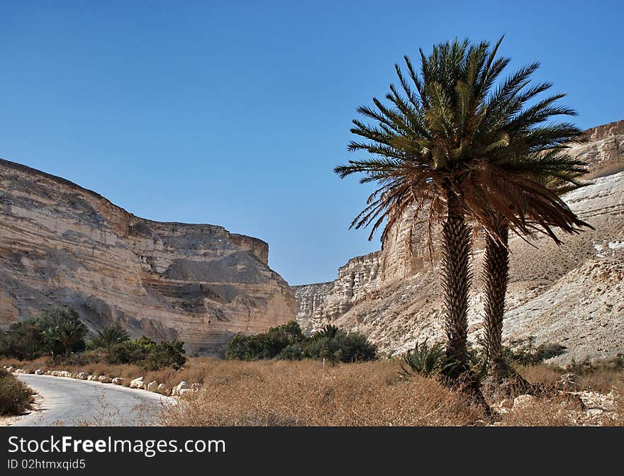 Desert of Negev