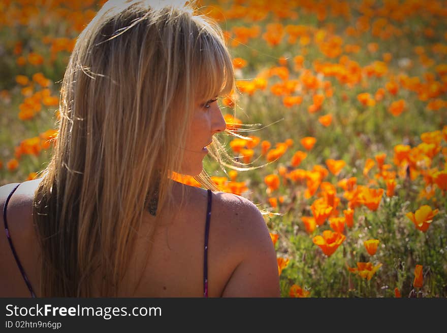 Sexy Female Model in California Poppy's taken in Lancaster, California. Sexy Female Model in California Poppy's taken in Lancaster, California