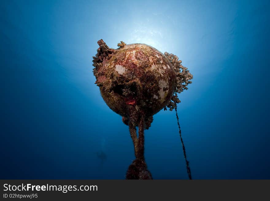 Underwater buoy with coral taken in the Red Sea.