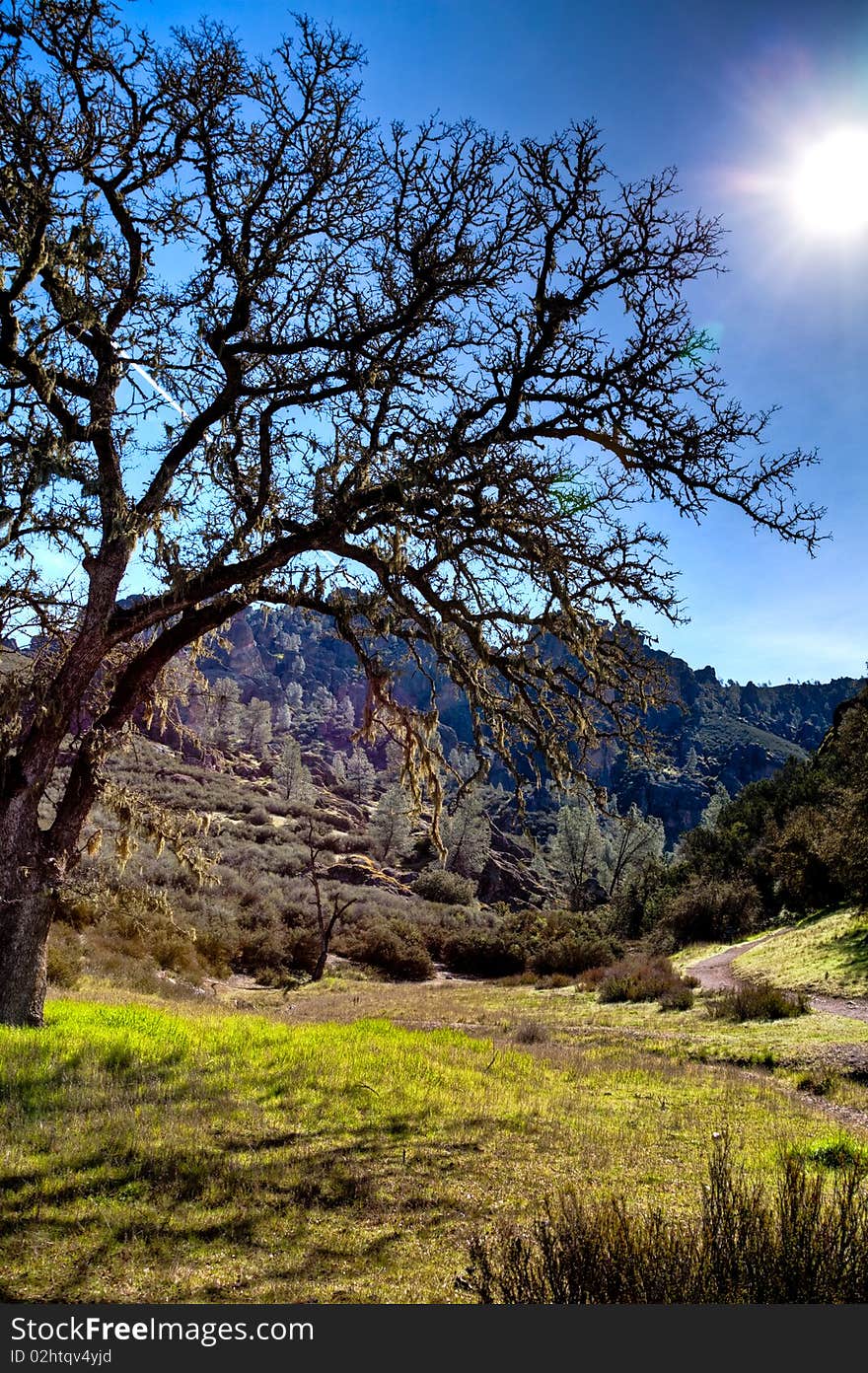 Mountain range in distance, grass and trees. Sky is filled with thine clouds and sun is out. big tree in foreground. Blue sky. Mountain range in distance, grass and trees. Sky is filled with thine clouds and sun is out. big tree in foreground. Blue sky.