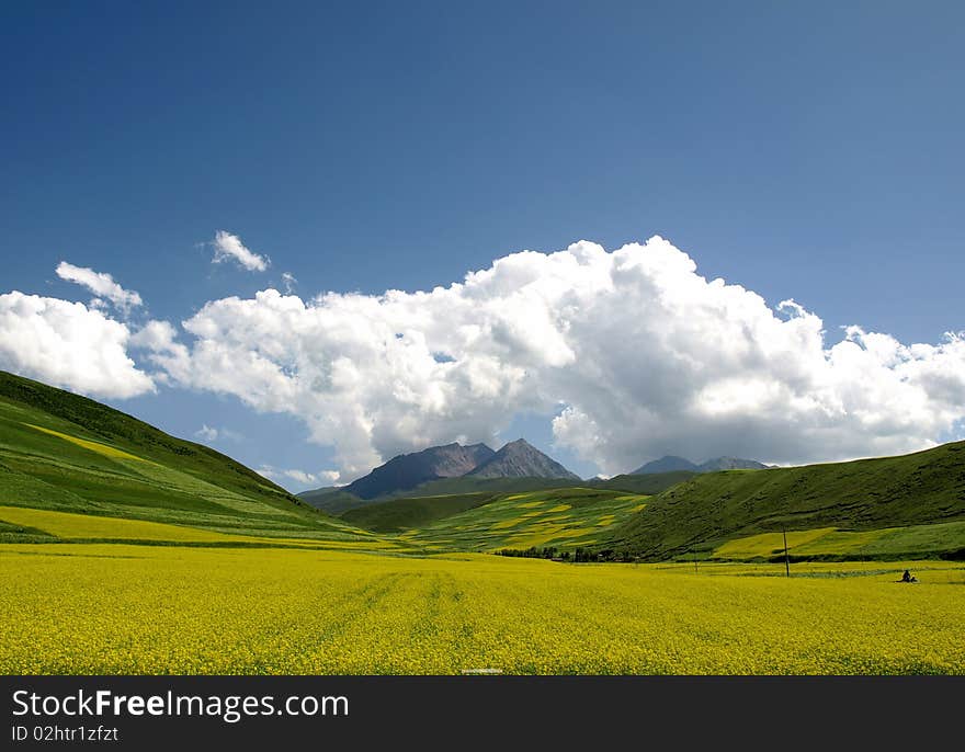 under a blue sky in China, Qinghai. under a blue sky in China, Qinghai