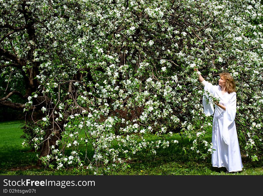 The blonde girl in white dress and white flowers. The blonde girl in white dress and white flowers