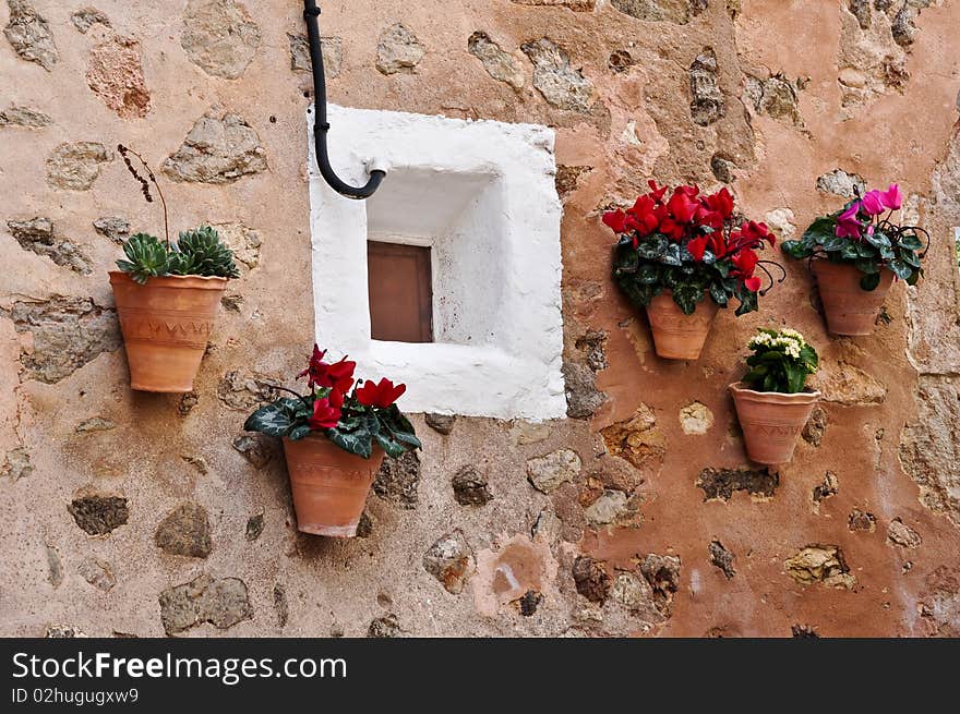 Pots With Flowers