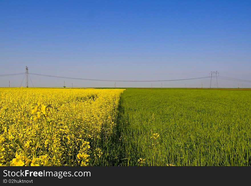 Spring in colors, photo taken on a trip in Romania