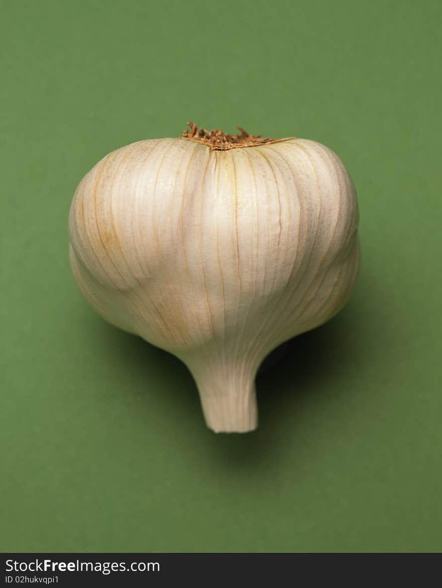 Head of Garlic