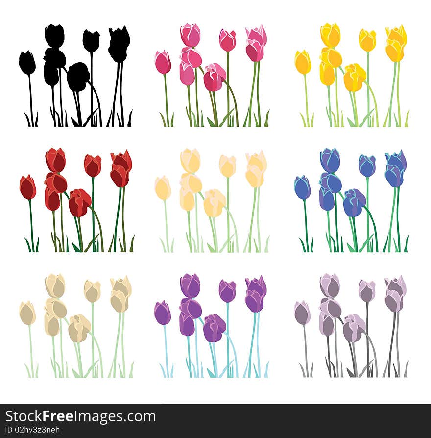 Tulips Set