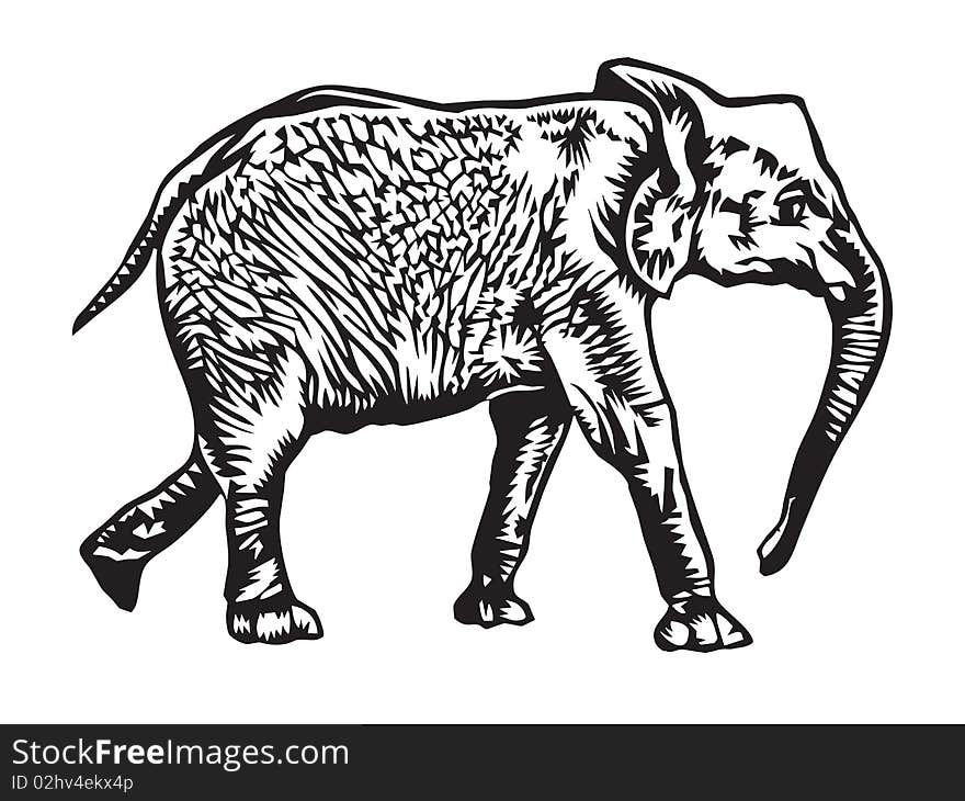 Vector illustration of a walking elephant in black and white