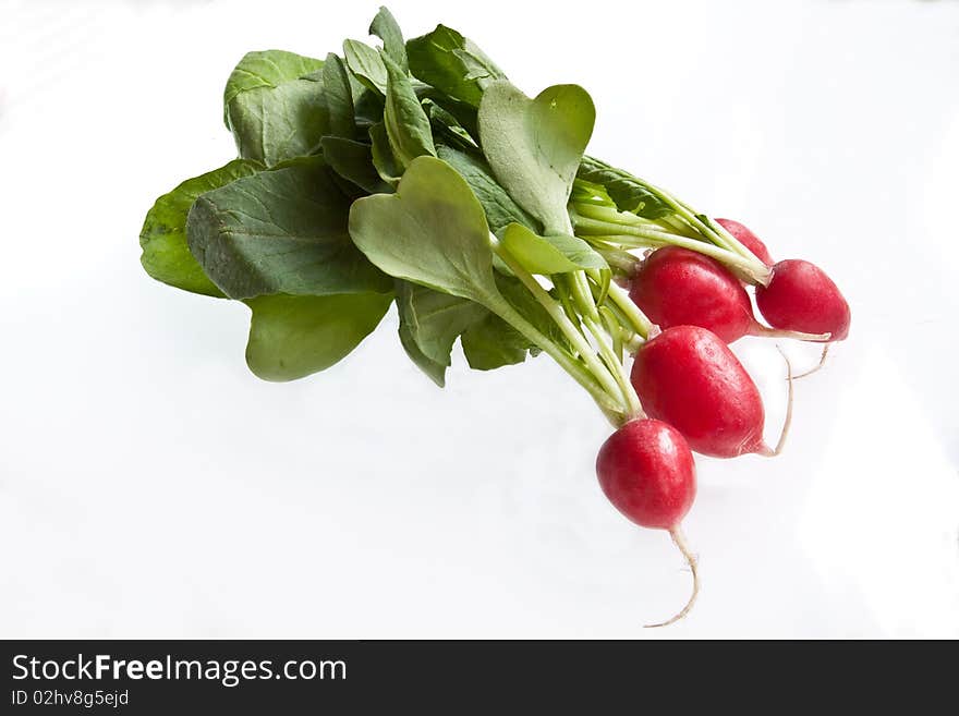 A bunch of radish with roots & radish tops