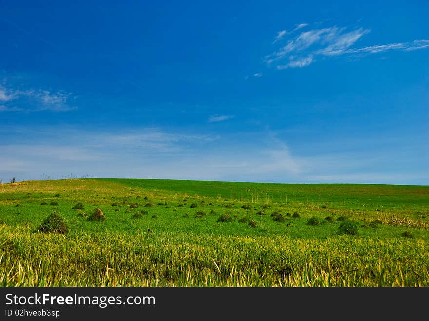 Beautiful countryside spring meadow landscape