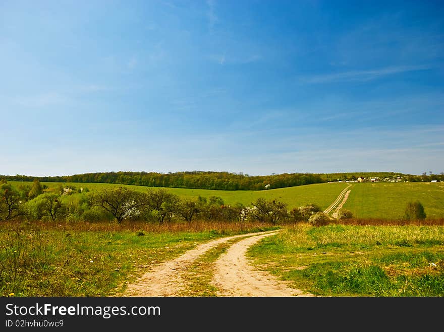 spring countryside road at meadow landscape