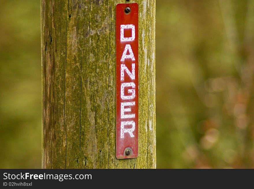 Danger warning sign on tree in forest, close up