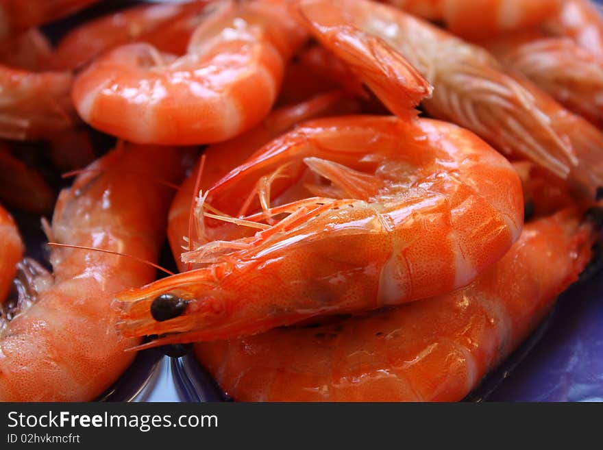 Boiled Shrimps on blue plate. Boiled Shrimps on blue plate