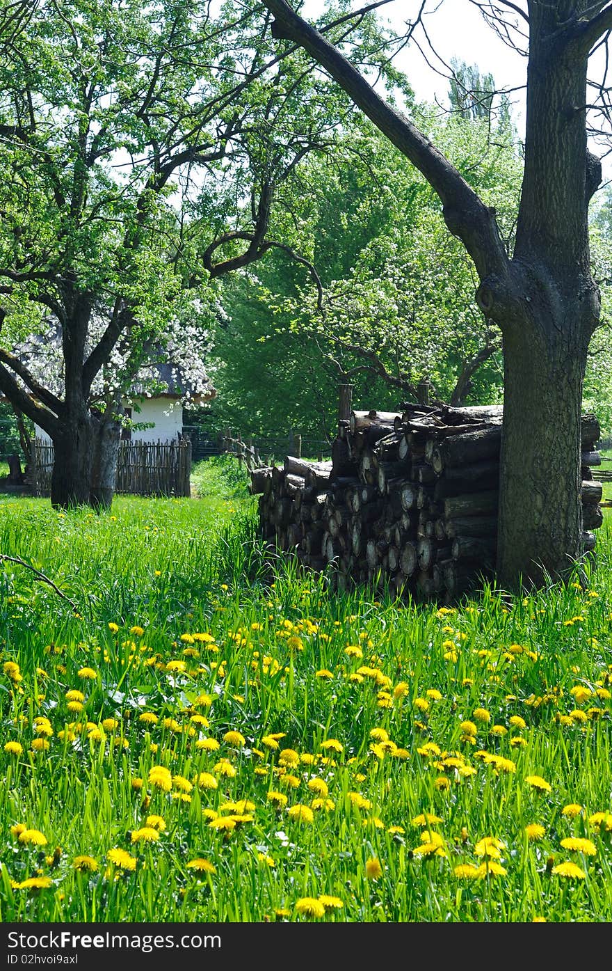 Pile of wood by tree in meadow, next to old cottage. Pile of wood by tree in meadow, next to old cottage.